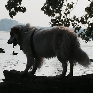 Meet your Posher, Lori